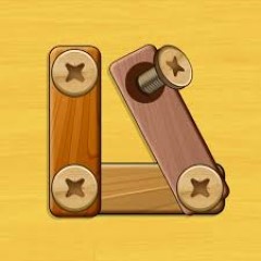 Woodnuts Bolts Puzzle